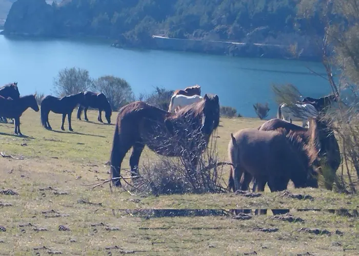 호텔 Pico Espiguete Alba de los Cardaños
